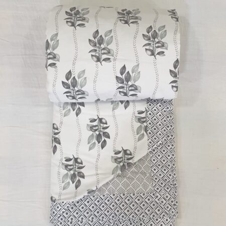 Double Dohar V. Border Patti